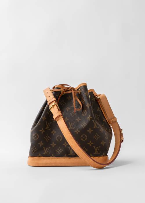 Noé bag in monogram and brown leather