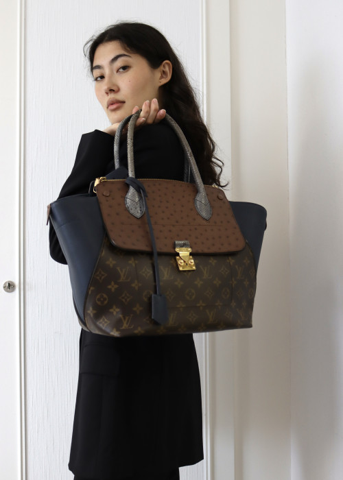 Louis Vuitton Python Handtasche