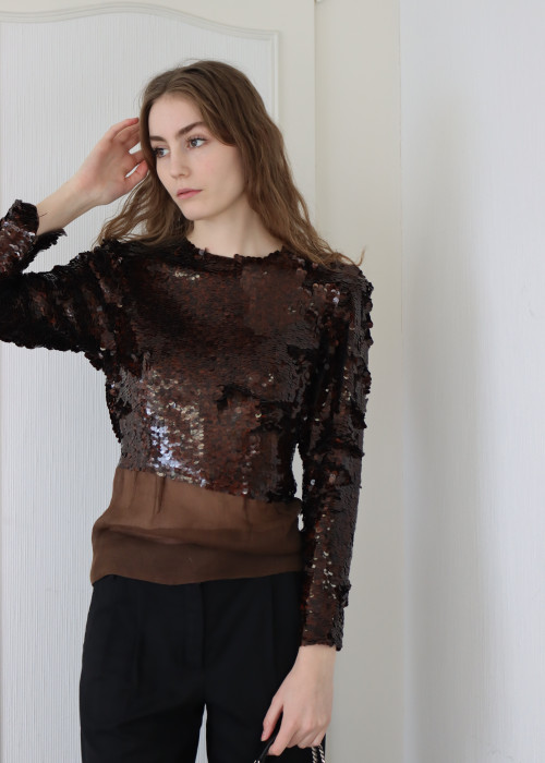 Sequin and brown silk top