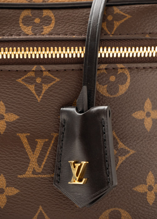 Vanity Bag aus Monogram Canvas, braun