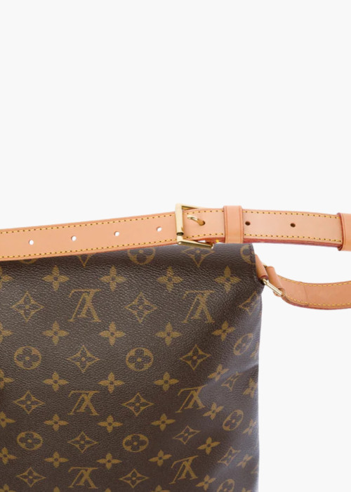 Salsa-Beuteltasche aus Monogram-Canvas