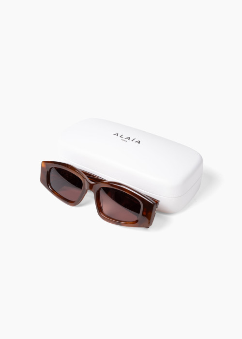 Lunettes de soleil avec une monture écaille