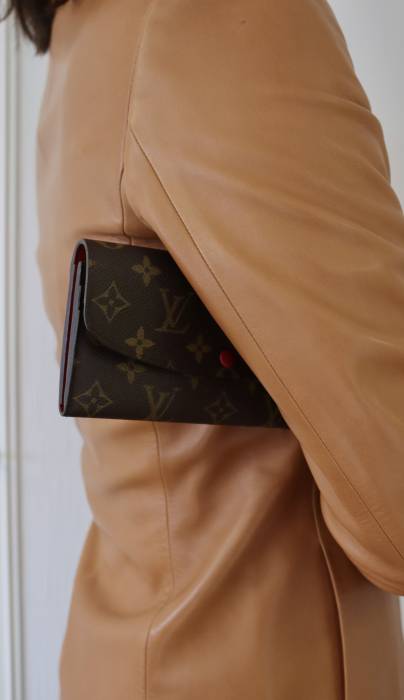Brown Louis Vuitton wallet Louis Vuitton