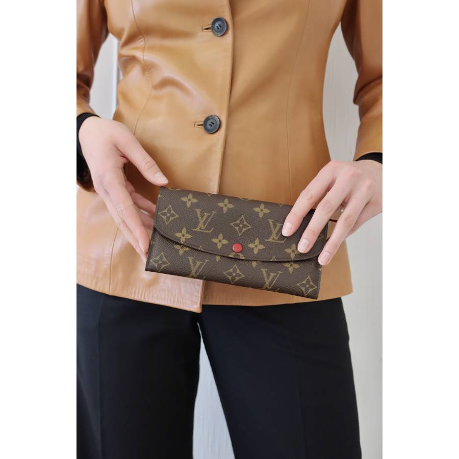 Brown Louis Vuitton wallet