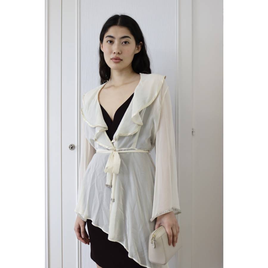 Transparent silk blouse