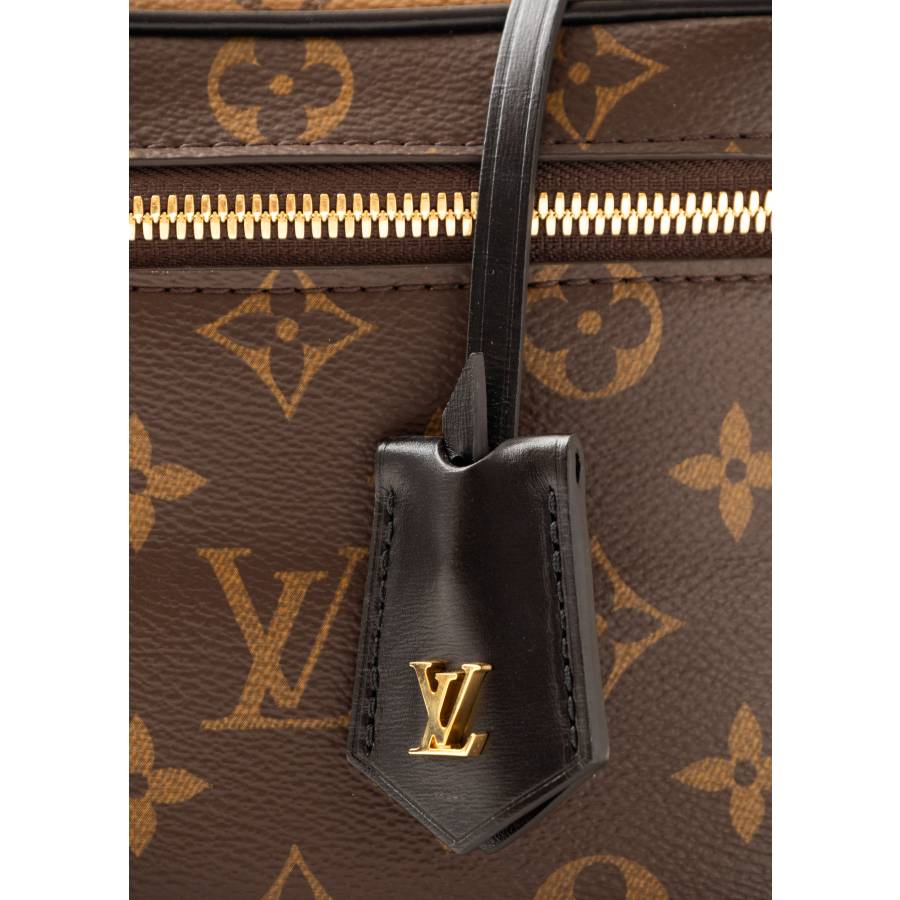 Vanity Bag aus Monogram Canvas, braun