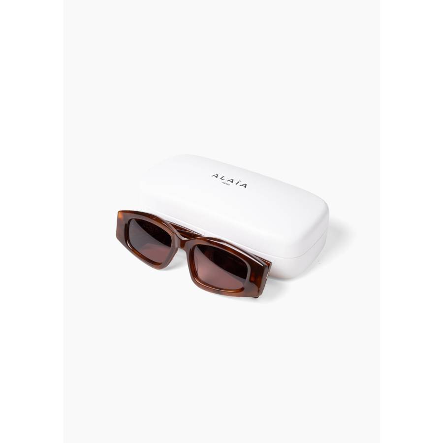 Lunettes de soleil avec une monture écaille